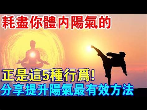 隨意窩日誌 增陽氣方法